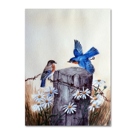 Arie Reinhardt Taylor 'Bluebirds With Daisies 3' Canvas Art,14x19